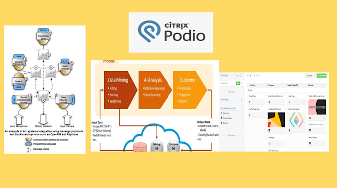 develop fully automated real estate podio CRM