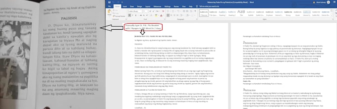 do data entry, PDF or pictured text into ms excel or ms word