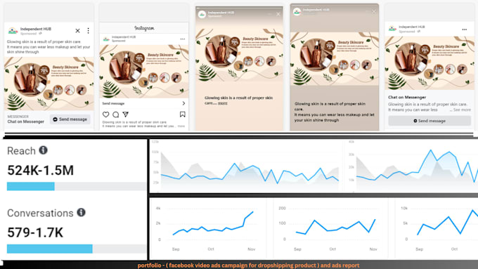 run shopify facebook video ads fb ads coach for dropshipping product