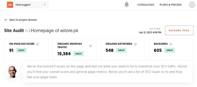 do onpage and technical SEO of wordpress websites
