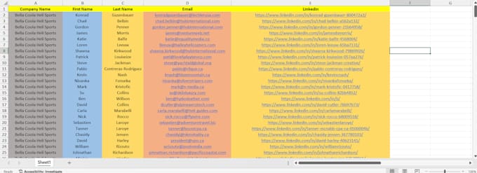 do accurate data entry, web research and excel tasks