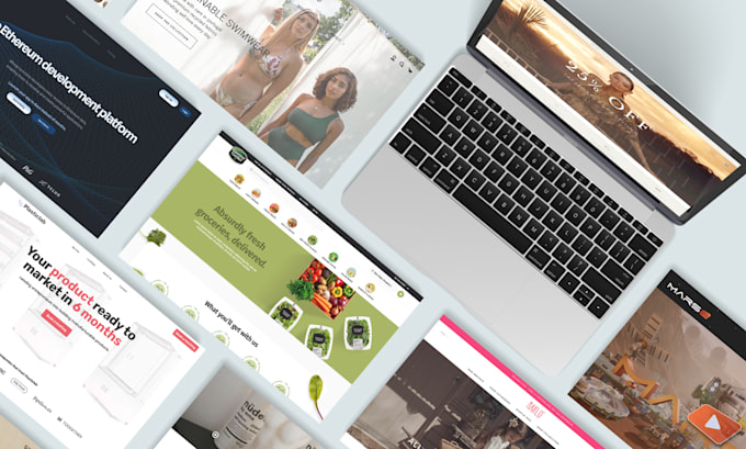 build a premium shopify ecommerce store