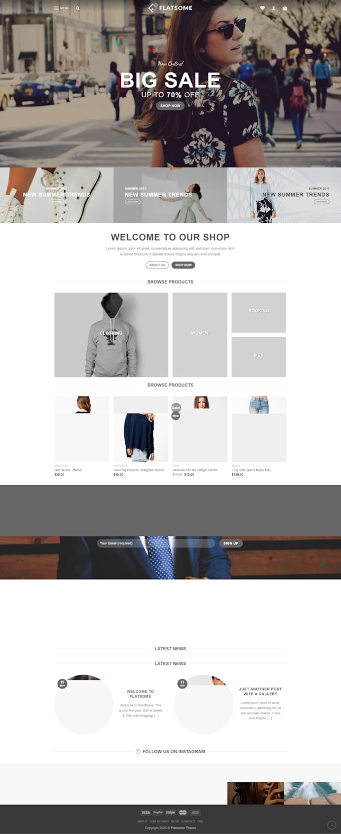 build shopify dropshipping store or shopify website design