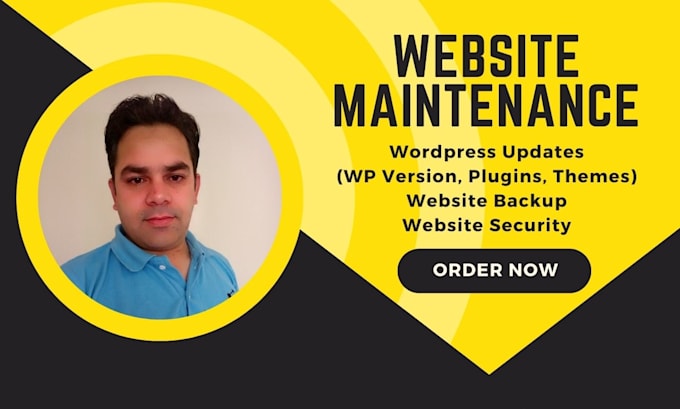 provide wordpress website maintenance and support