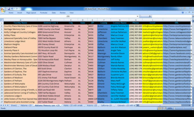 be your assistant of data entry and formatting