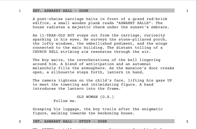 provide professional screenplay coverage and script feedback