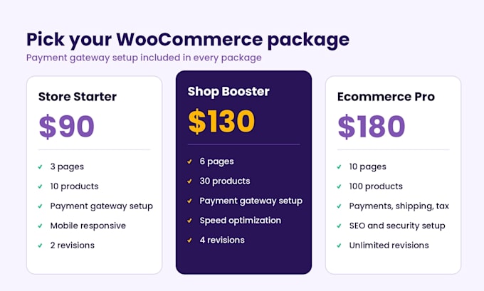 build a professional woocommerce store with payment gateway