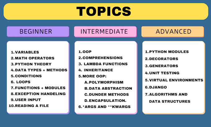 teach you python beginner to pro
