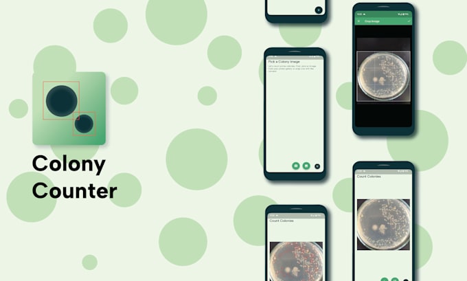 develop seamless flutter firebase integrated mobile or web app