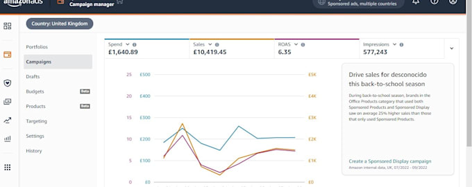 be your amazon virtual assistant, setup amz PPC campaign, listing expert