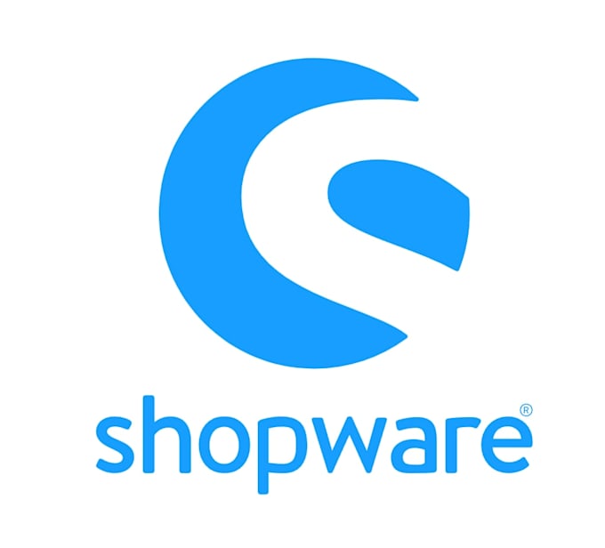 provide shopware 6 support, bug fixes, store setup and update