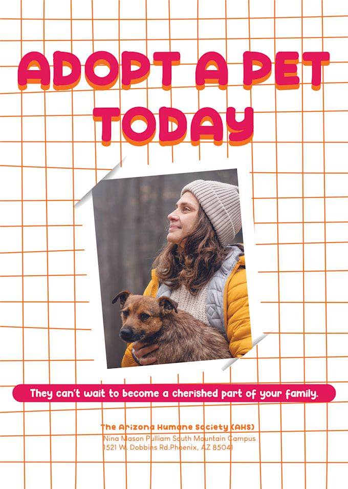 do to help lost pets and support animal adoption flyer