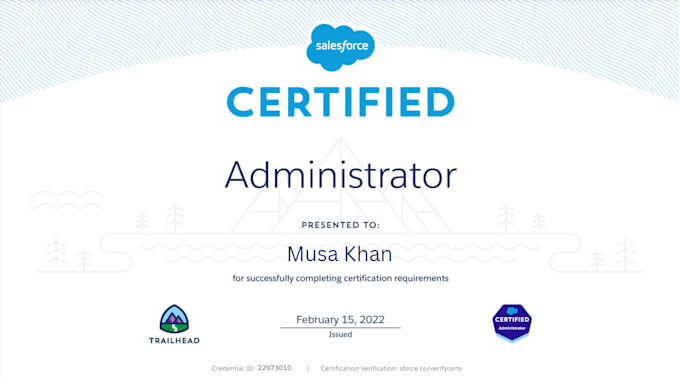 do all salesforce admin and developer tasks