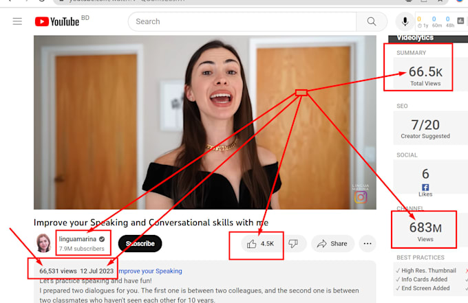 do organic youtube video promotion