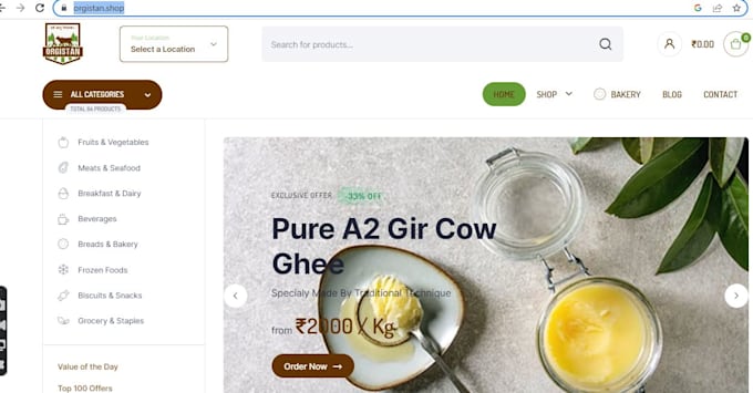 provide web design service