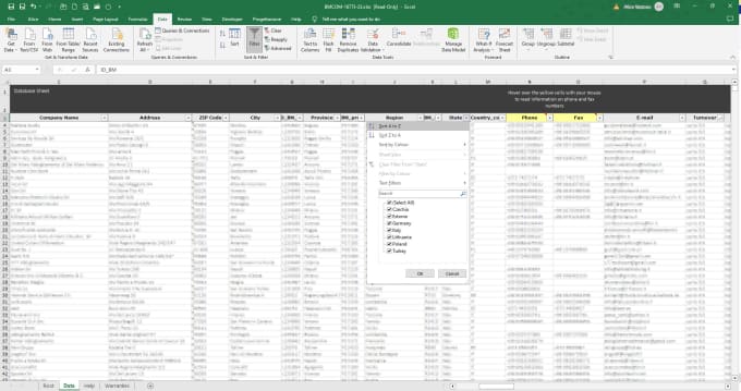 clean and format your excel database