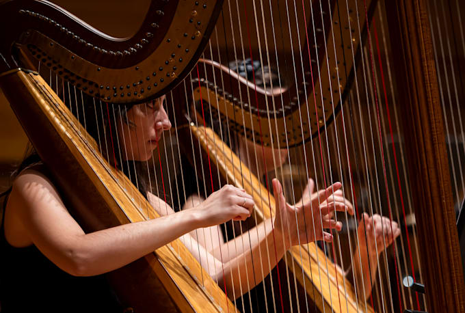play harp and record for you