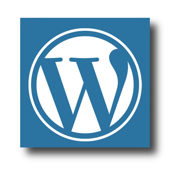 fix wordpress errors, bugs, woocommerce issues, and customization