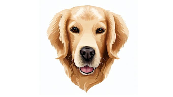 design transparent logo or edit vector,clipart,cartoon