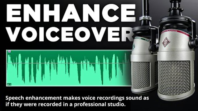 do professional audio editing and clean audio to remove noise, echo, and wind