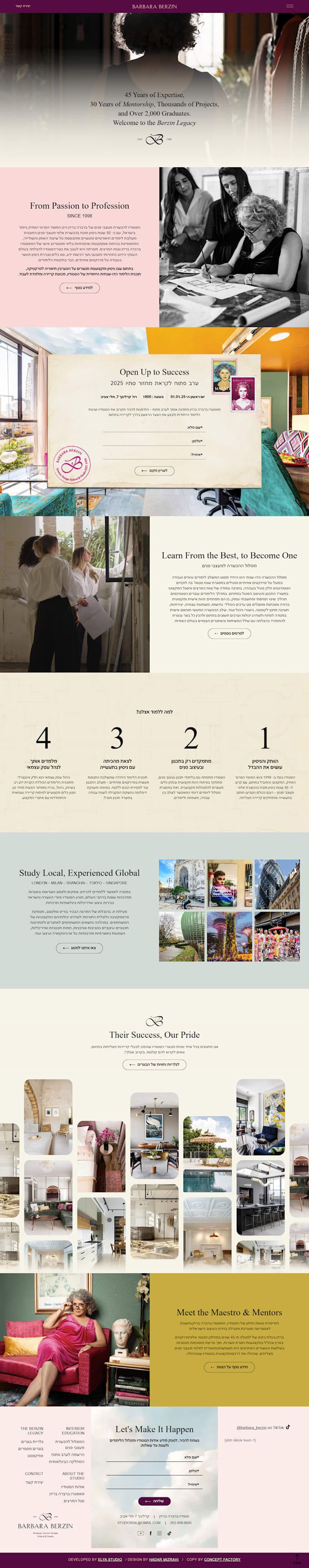 build a responsive wordpress website with elementor within 24 hour