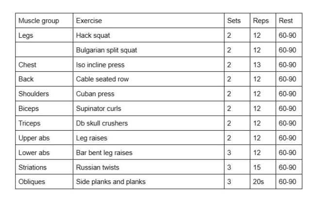 Build a custom workout and dieting plan for you by Monsterman237 Fiverr