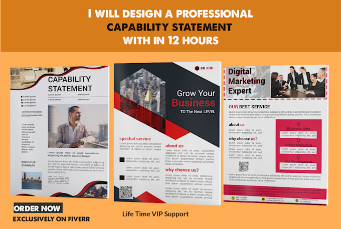 design a professional, creative, business and effective capability statement