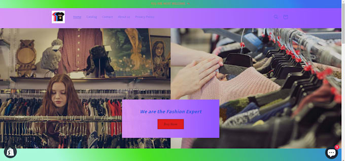 build your professional shopify dropshipping store