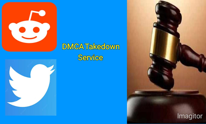 report from twitter,reddit under dmca