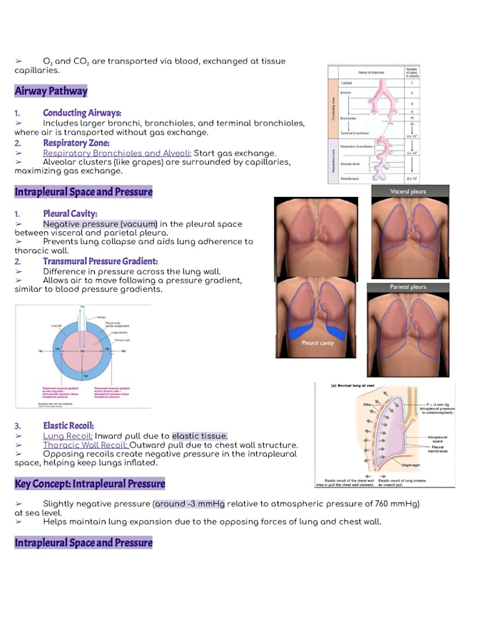 make easy medical study guide and notes for your courses