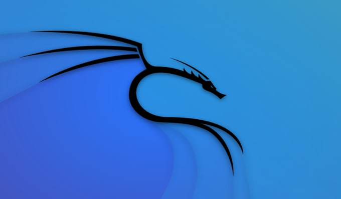 provide cyber security and vapt related service for web, mobile, iot