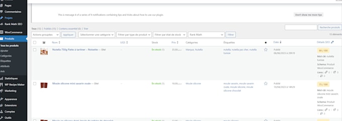 do professional wordpress data entry