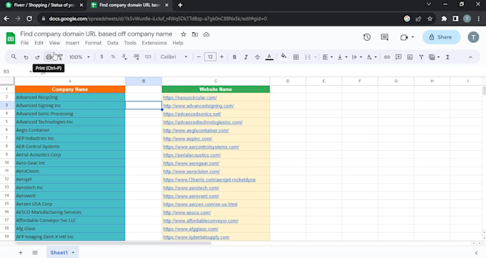provide data collection, lead generation, data entry task