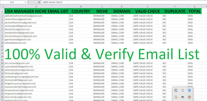 do provide lead generation specialist expert pro b2b leads email list building