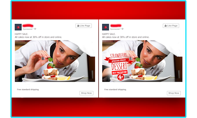 be your expert facebook ads manager