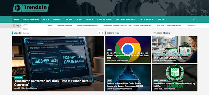 design a professional and responsive wordpress business website