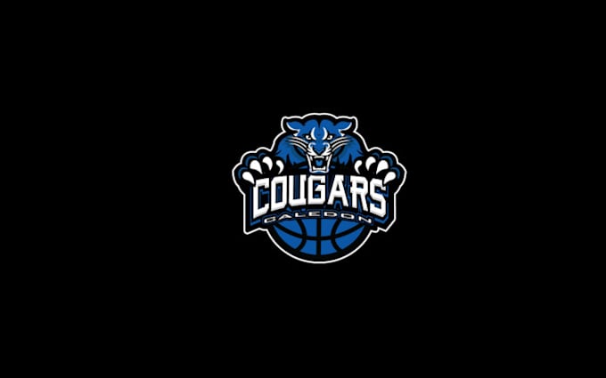 design splendid sophisticated basketball academy logo