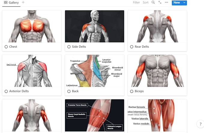 Provide you with my simple workout tracker by Prodbykit | Fiverr