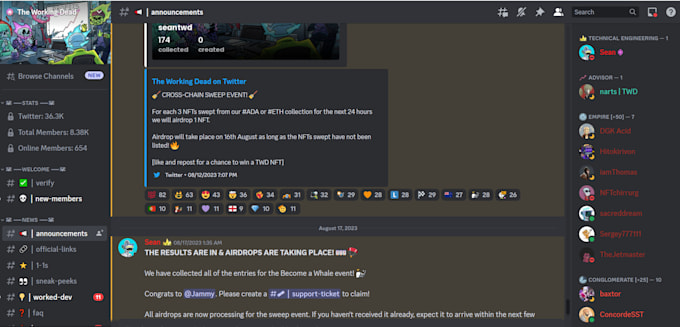do full discord server setup with all channels and bots