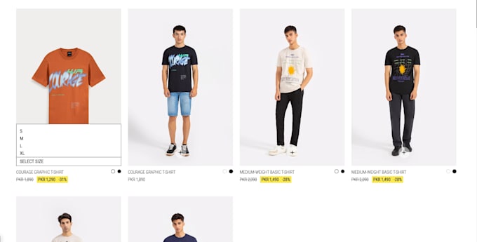 develop full shopify website