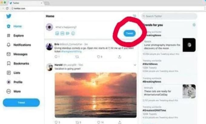 report and takedown twitter infringing post under dmca