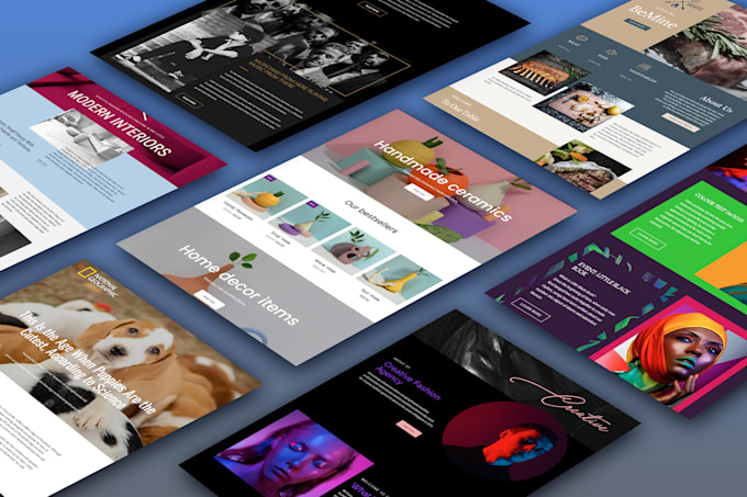 build a professional custom website