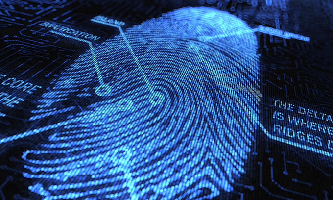 be your private investigator
