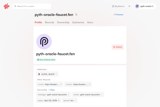 build ethereum name service custom domain your project ens