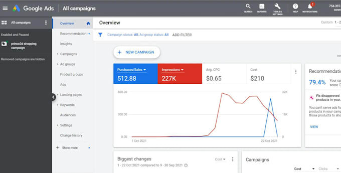 create and optimize google adwords PPC campaigns professionally