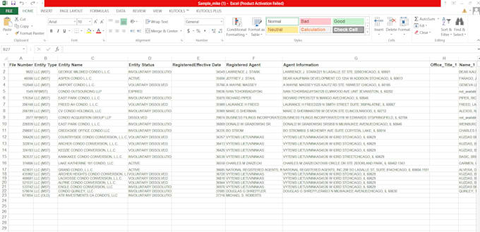 be your efficient data entry VA for your business