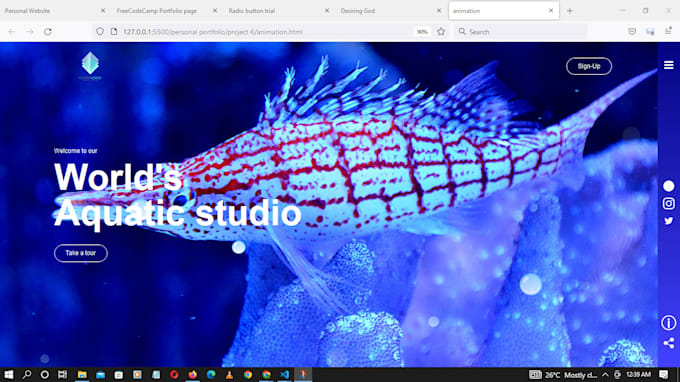 Make website projects and email template with html and css by ...