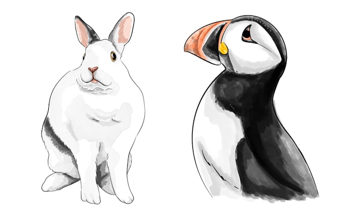 draw cute pet in watercolor illustration