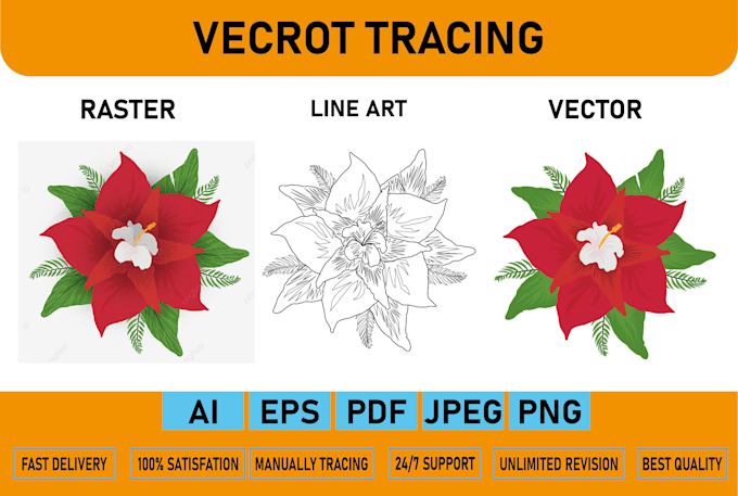 convert image to vector, logo to vector or vector tracing