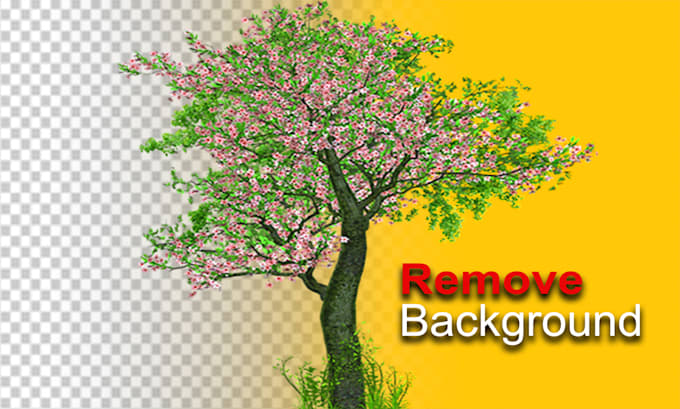provide background removal, image retouch, cut out images service